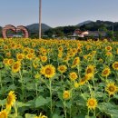 양정달마루마을 네이버블로그