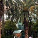 스테이 안셈 이미지