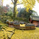 고성, 숙 이미지