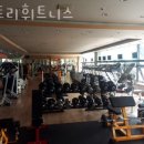 빅토리휘트니스 이미지