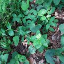 지혜농장 이미지