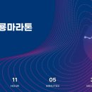 제25회 순천남승룡마라톤대회 이미지