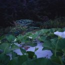 상지농장 이미지