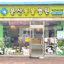 문산 동물병원 이미지