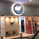 블루웨일 코인노래연습장 이미지