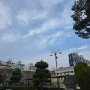 만년초교병설 이미지