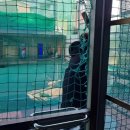 여기가자노래연습장 이미지