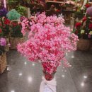 산호동223 이미지