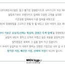 (주) 엠지브이보안시스템