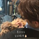 문장푸른마트 | 나는 여름을 너무 사랑하니까 겨울에 머무르는 편이 좋겠어