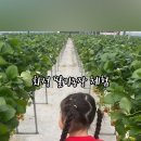 장스아이스크림 이미지