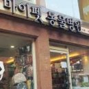 마이펫종합동물병원 | 인천 간석동 동물병원 추천! 강아지 중이염 꼼꼼하게 진료하는 '마이펫동물종합병원'