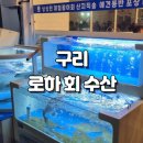 동구릉로 | 구리 인창동 로하수산 횟집 방문 후기