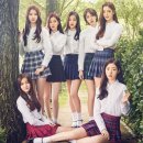 다이아 카카오 검색결과
