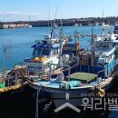 [대한민국 직장인] 2026년 선원 최저임금 269만4560원…인상률 3.05% 이미지