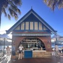 [시드니 맛집] - 서큘러키 하버브릿지 오페라하우스 뷰 Whale Bridge 웨일브릿지 방문후기, 예약방법