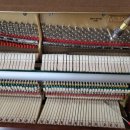 신항초등학교 이미지