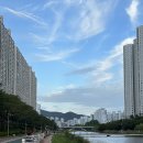 심남매 언양바싹불고기 · 밀면전문점 | [낙민동] 밀면 맛집 발견! 심남매언양바싹불고기