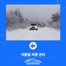 윤모터스 이미지