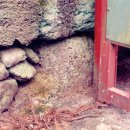 하례1리 이미지