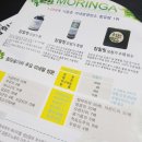 정현조의참힐링