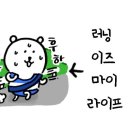 코스트코 하남점 잠스트 무릎보호대 구매후기