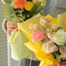 아인플로라 이미지