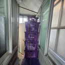 태백용달이사화물 | 광주용달화물 길조익스프레스 이사 서비스 후기