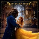 신양초등학교 이미지