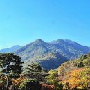다향설악 | [강원도 속초 설악산] 케이블카 타고 가을 단풍 구경 / 식당 “권금성” / 카페 “다향” 강원도 여행 후기