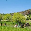 26년 5월 창녕우포늪생태관광협회가족서포터즈2-이팝나무꽃과 함께 늪배체험 이미지