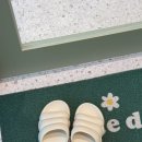 플로이몽 이미지