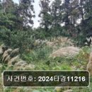 남원읍-95 이미지