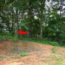 백산리마을회관 이미지