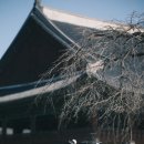 서울한복 | 서울 한복스냅 가족촬영 후기 추기 | 경복궁 가족스냅 추천 | 셔터중독스냅