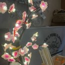 타코야미 이미지