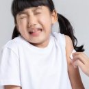 (주)코로나펫 이미지