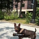 프롬몽쥬 - 고양시 일산동구 일산로441번길 16-4 | 프롬몽쥬