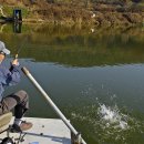 고담낚시터 이미지