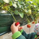 대림4농장 이미지