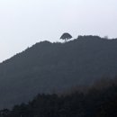 소나무경로당 이미지