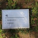 위세복 게이트 이미지