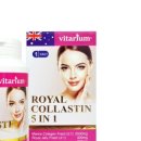 로얄피시 이미지