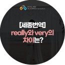 세종번역 이미지