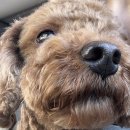 잘가요사랑니치과의원 이미지