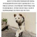 개구멍 이미지