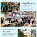 황금여행사 이미지