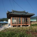 남원 진기리 느티나무 이미지