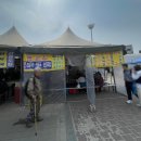 모란시장(기름시장) | 모란시장 장날 미리 알고 가야 덜 힘듭니다 도래창 말고 뭘 먹어야할지 모르겠다｜성남 모란시장 솔직 후기