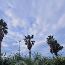 펜션 153 이미지